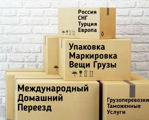 Грузоперевозки Карго Авиапочта