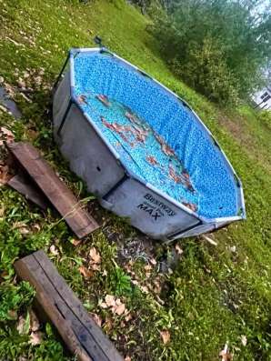 Бассейн в Белово