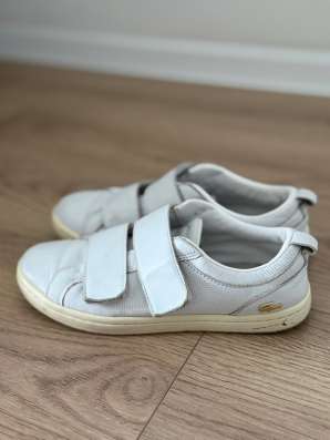 Продаю кроссовки Lacoste на липучках в Люберцы фото 3