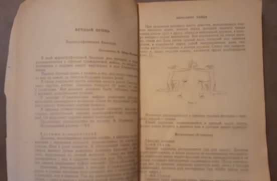 Вечный огонь. Танцы для детей 1971 г фото 7