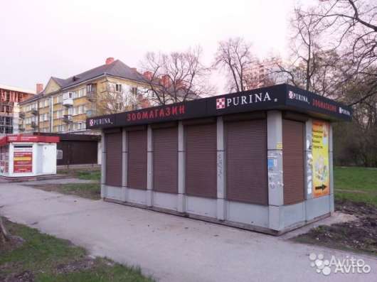 Торговое помещение, 20 м² в Калининграде фото 4