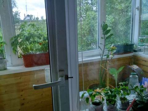 Продам трехкомнатную квартиру в Подольске. Этаж 5. Дом кирпичный. Есть балкон. в Подольске фото 14
