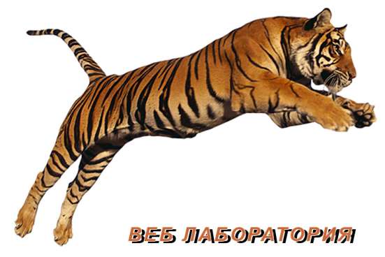 Разработка и создание сайтов