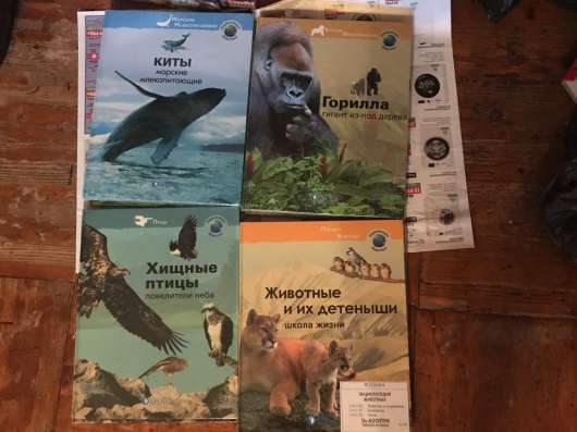 Книги и брошюры для детей