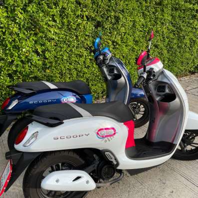 Honda Scoopy 110 см3 2023 года в аренду