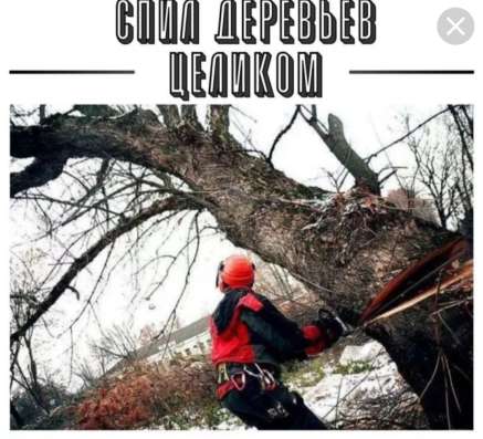 Спилим деревья любой сложности, уборка мусора