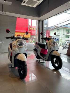 Honda Scoopy 110 см3 2023 года в аренду фото 4