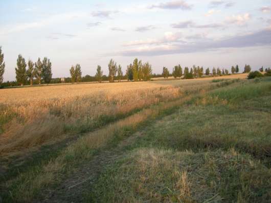 Участок, 8.2 сот., поселения (ижс) в Матвеевом Кургане фото 4