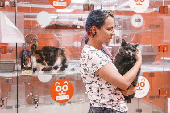 Зоогостиница BookingCat Люберцы/Жулебино в Люберцы фото 30