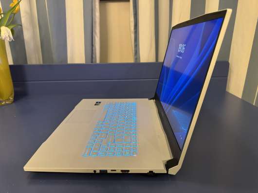 Игровой ноутбук *Sword 17 A11UD-810XRU*