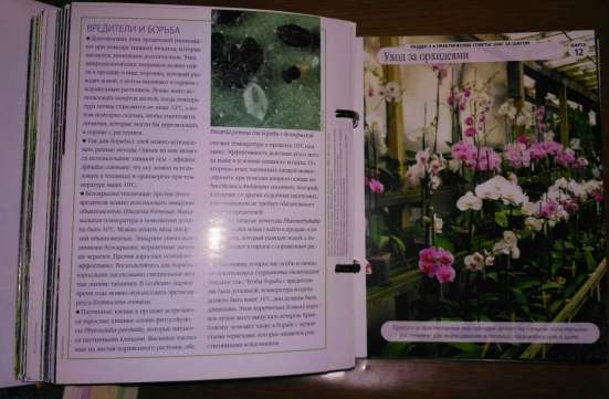 Энциклопедия фото 3