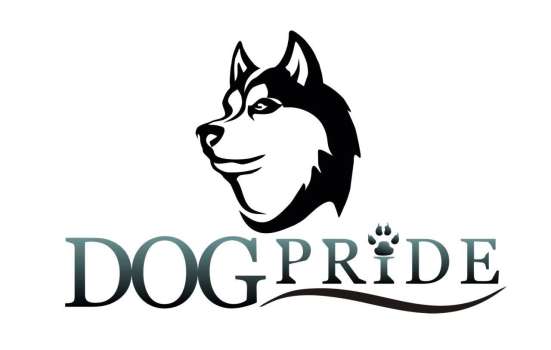 DogPride в Новосибирске в Новосибирске фото 3