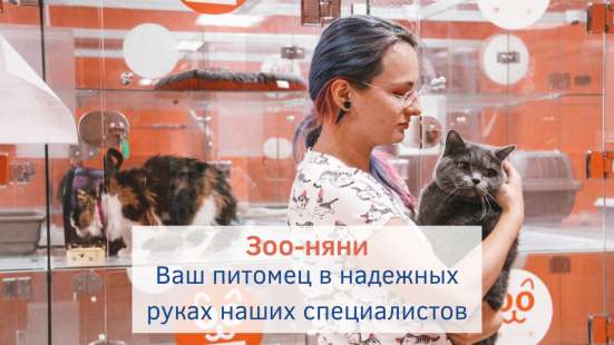 Зоогостиница BookingCat Люберцы/Жулебино в Люберцы фото 34
