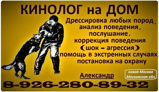 КИНОЛОГ С ВЫЕЗДОМ