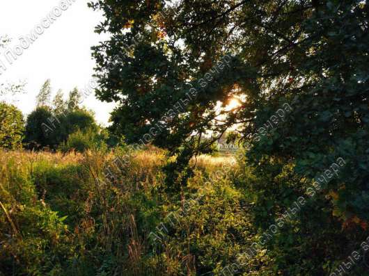 realty_mapper3.plot_in_locationПлощадь 6.00 сот.Есть Электричество, Газ. в Москве фото 8