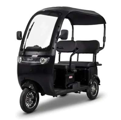 Трицикл электрический Zevs Pro Roof