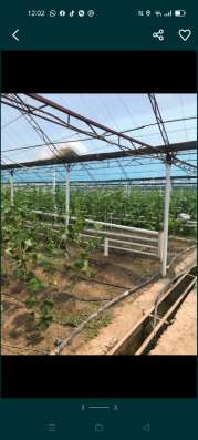 Продам 29 гектар земли фото 3