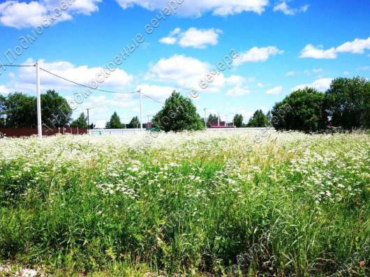 realty_mapper3.plot_in_locationСадовое некоммерческое тов-во. Площадь 8.00 сот.Есть Электричество. в Павловском Посаде фото 10