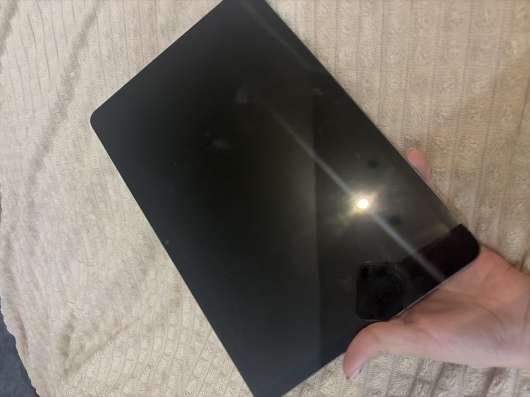Планшет Samsung Galaxy Tab S8 256 ГБ в Ростове-на-Дону