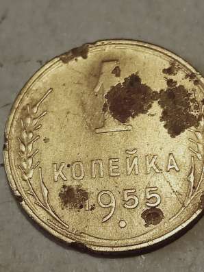 Брак монеты 1 коп 1955 года в Санкт-Петербурге фото 6