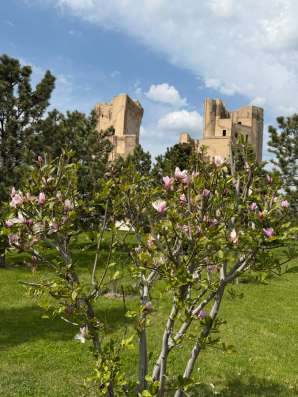 Экскурсия в Шахрисабз фото 4