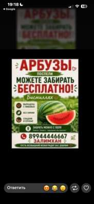 арбузы вкусные свежие