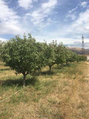 Продается право аренды фото 3