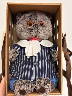 Кот Басик игрушка мягкая в коробке в Долгопрудном фото 3