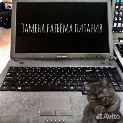 Ремонт ноутуков, компьютеров. Компьютерный мастер в Астрахани фото 4