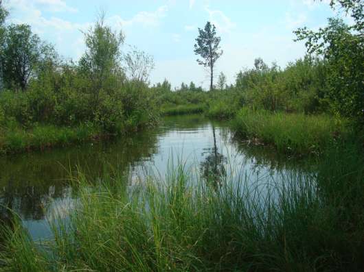 Участок с домиком в Архиреевке 3