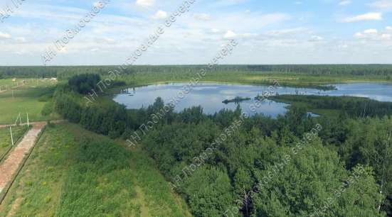 realty_mapper3.plot_in_locationСадовое некоммерческое тов-во. Площадь 8.00 сот.Есть Электричество. в Москве фото 12