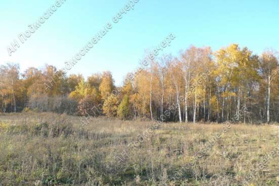 realty_mapper3.plot_in_locationИндивидуальное жилищное ст-во. Площадь 30.00 сот.Есть Газ. в Москве фото 7