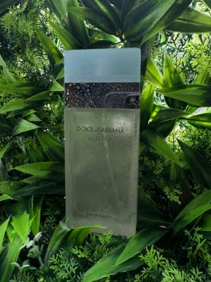 Dolce&Gabbana Light Blue 100 ml