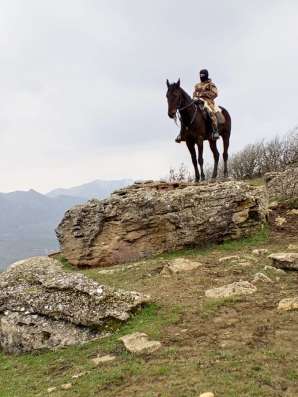 Продам лошадь в Махачкале фото 4
