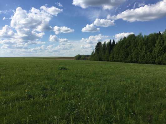 Продаю 10 Га в Кирове ИЖС в Кирове фото 6
