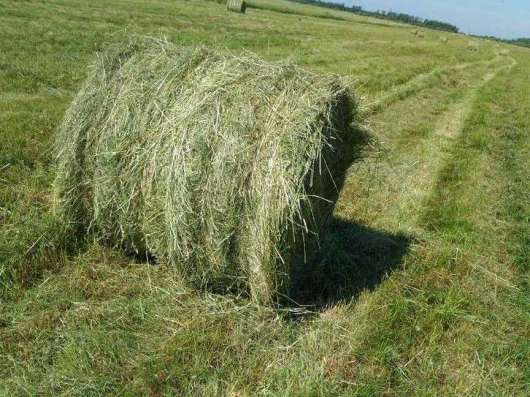 Продам Сено и Солому