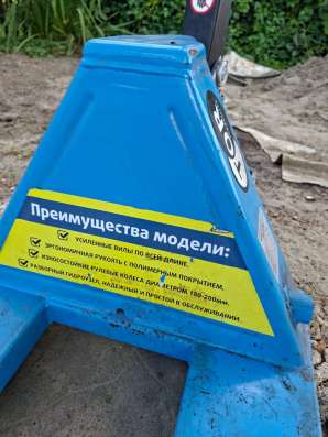 Рохля в Новосибирске