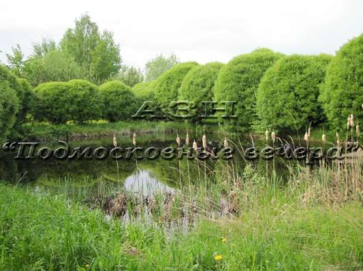 realty_mapper3.plot_in_locationИндивидуальное жилищное ст-во. Площадь 83.00 сот.Есть Электричество. в Москве фото 17