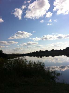 Участок в Тритниково в Вологде фото 4