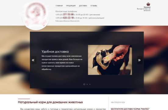 Создание качественных сайтов