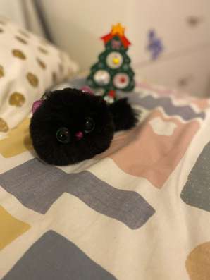 Чёрная кошечка