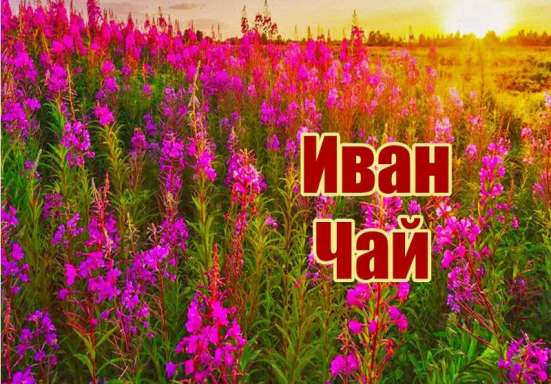 Дубовый берёза липа веники травы чай