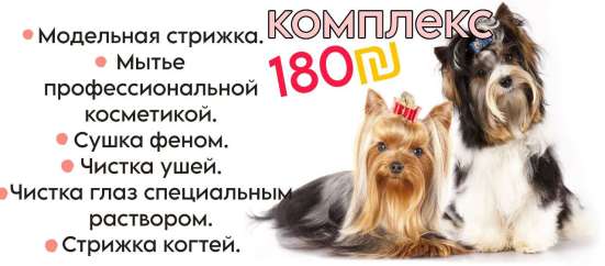 Грумер стрижка собак