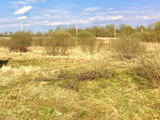 Участок ИЖС недорого, собственник в Можайске фото 3
