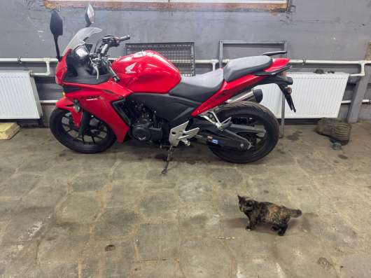 Honda cbr 400r в Видном фото 6