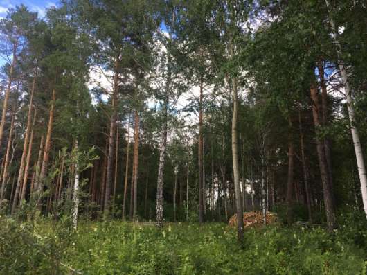 Купи участок в уникальном месте в Тюмени