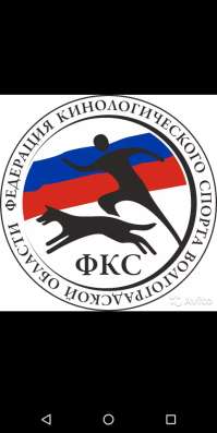 Дрессировка собак