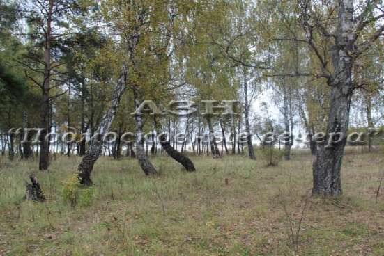 realty_mapper3.plot_in_locationИндивидуальное жилищное ст-во. Площадь 25.00 сот.Есть Электричество. в Москве фото 11