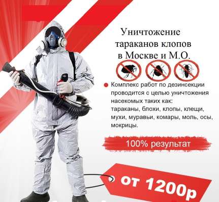 Уничтожение тараканов клопов блох в Мытищи фото 5