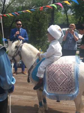 Лошадь на сундет той фото 4